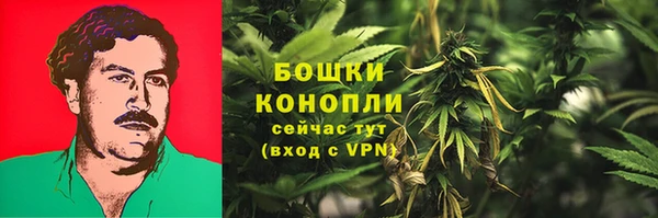 гидра Балахна